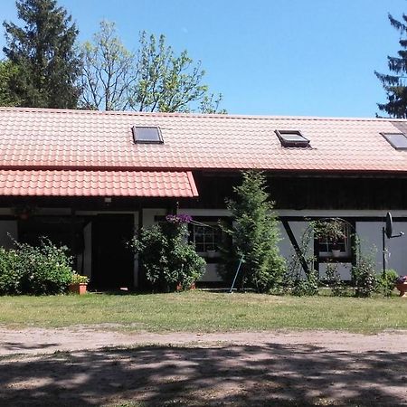 Agroturystyka Pod Debami W Klukach Smołdzino Dış mekan fotoğraf