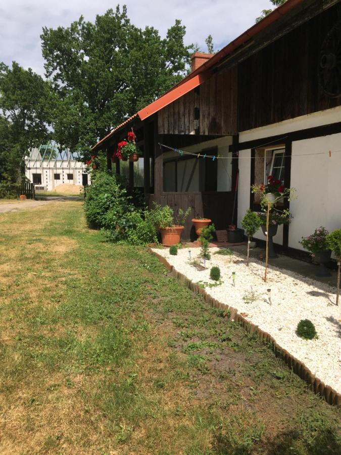 Agroturystyka Pod Debami W Klukach Smołdzino Dış mekan fotoğraf