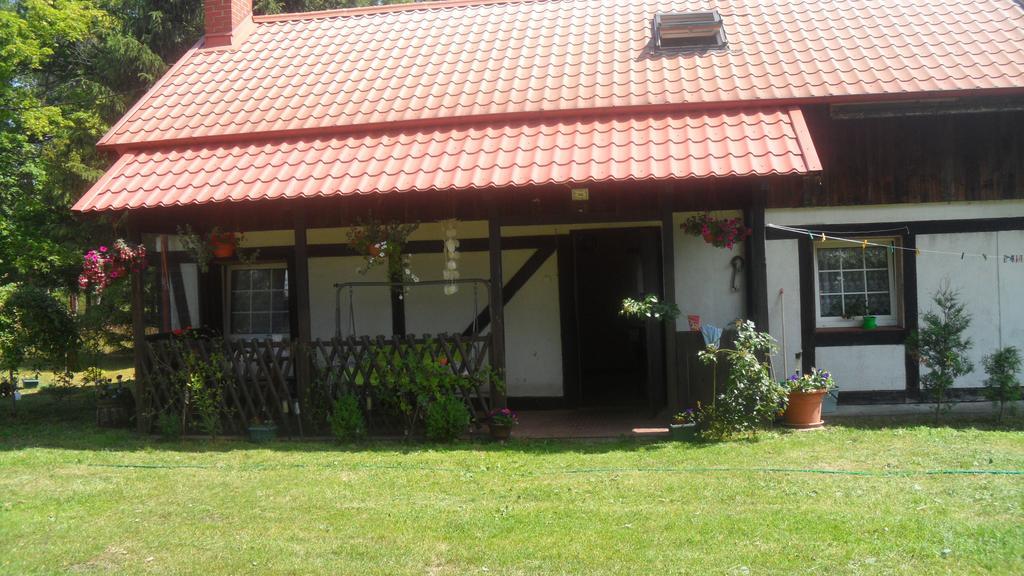 Agroturystyka Pod Debami W Klukach Smołdzino Dış mekan fotoğraf