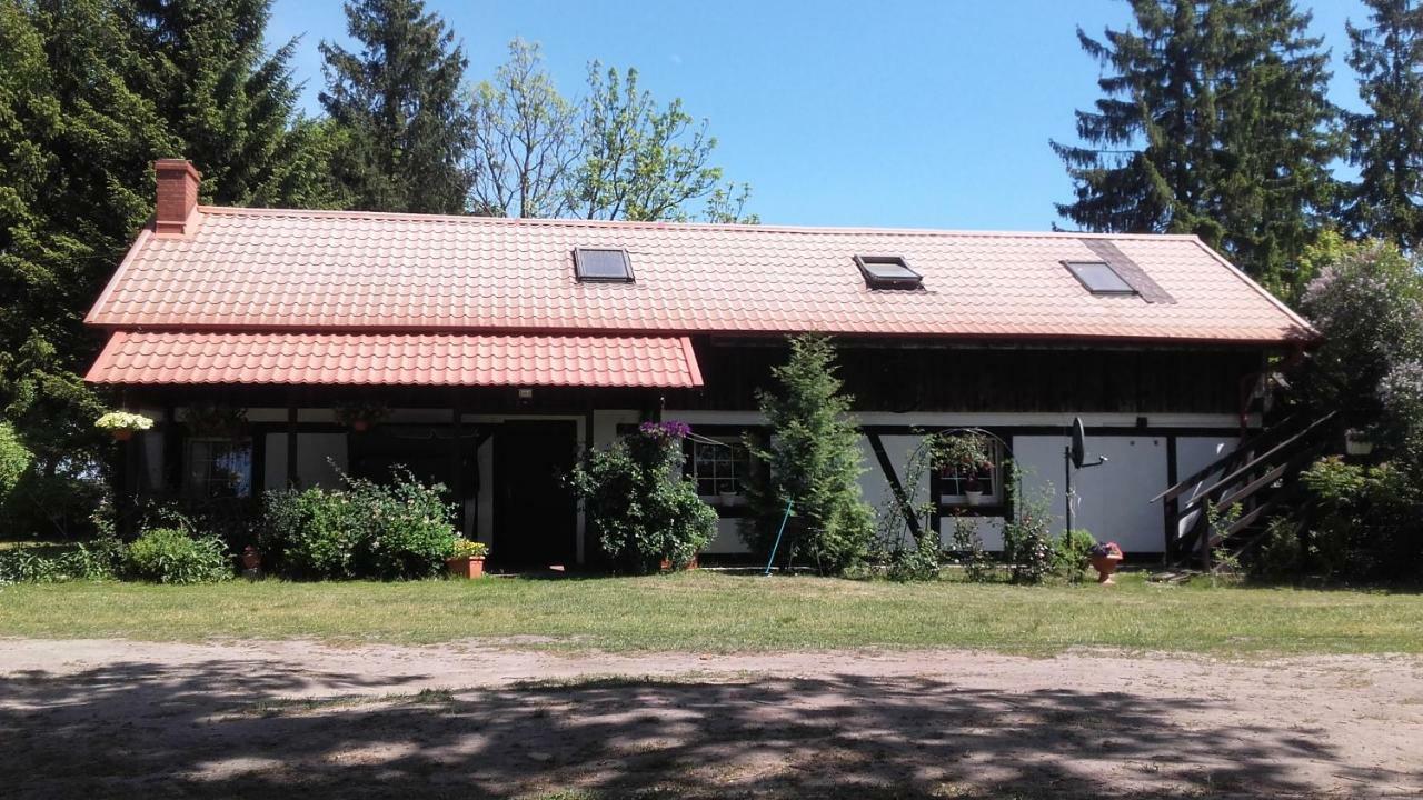 Agroturystyka Pod Debami W Klukach Smołdzino Dış mekan fotoğraf