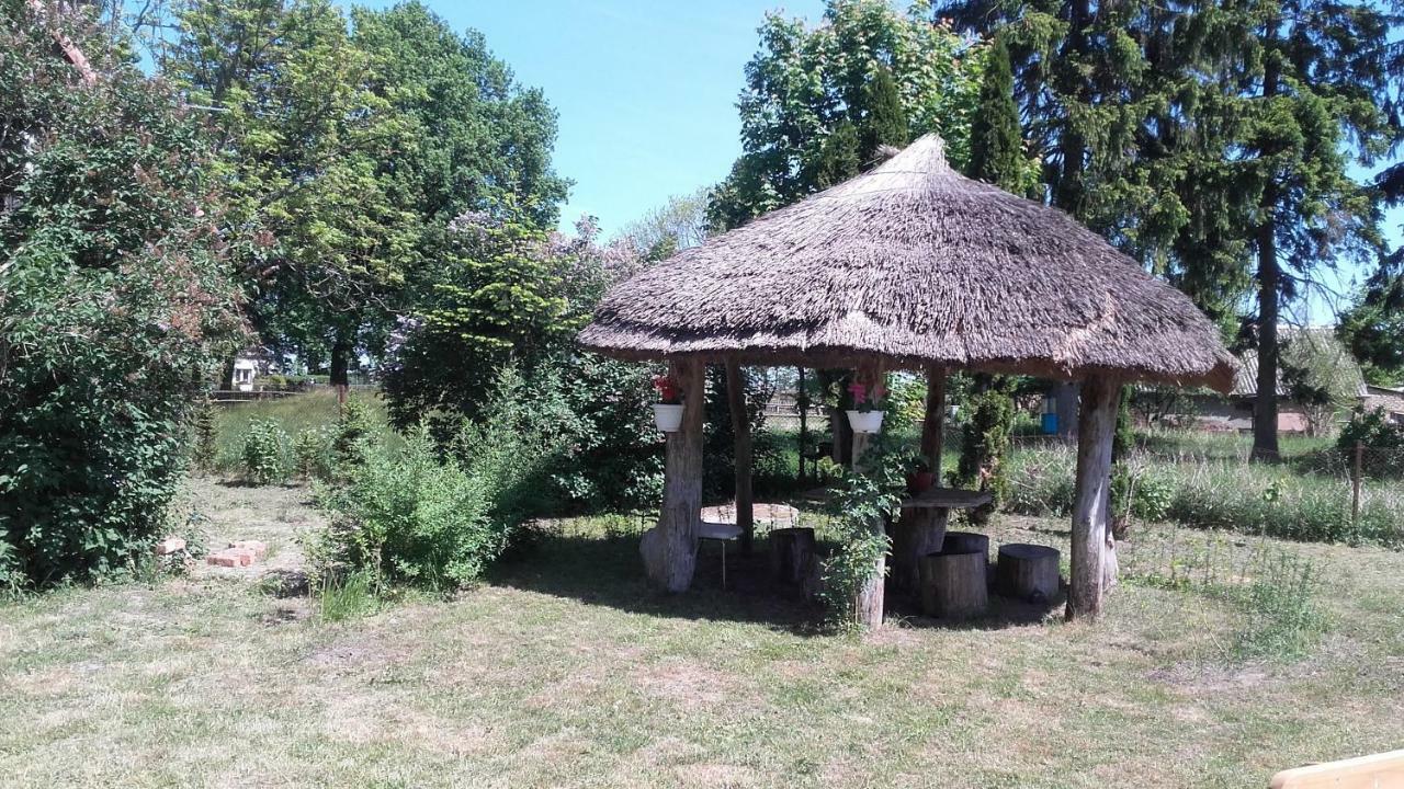 Agroturystyka Pod Debami W Klukach Smołdzino Dış mekan fotoğraf